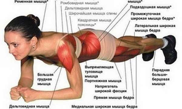 Какие мышцы тренируются при выполнении Планки